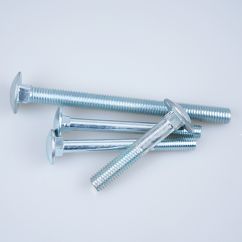 Cup Square Bolts(Carriage Bolts)Only