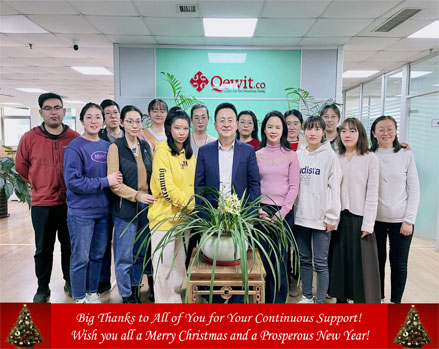 A Merry Christmas Message to our Customer