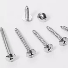 Stainless Steel Truss Head Self Tappping Screws