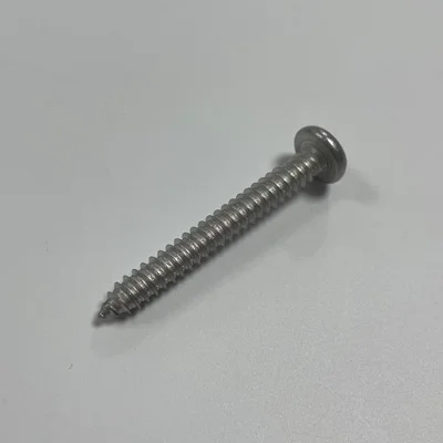 Stainless-Steel-Screw